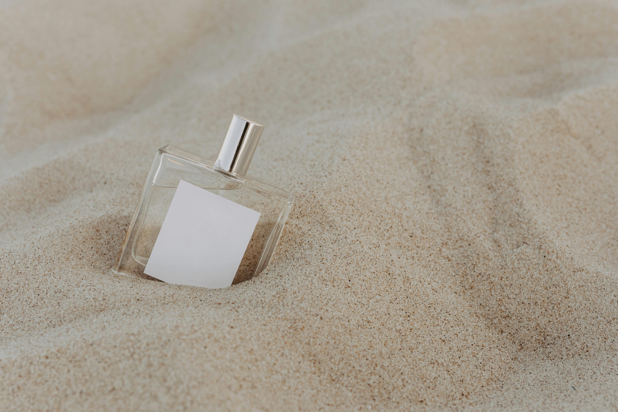 French Avenue topselectie: voor dames, heren en unisex