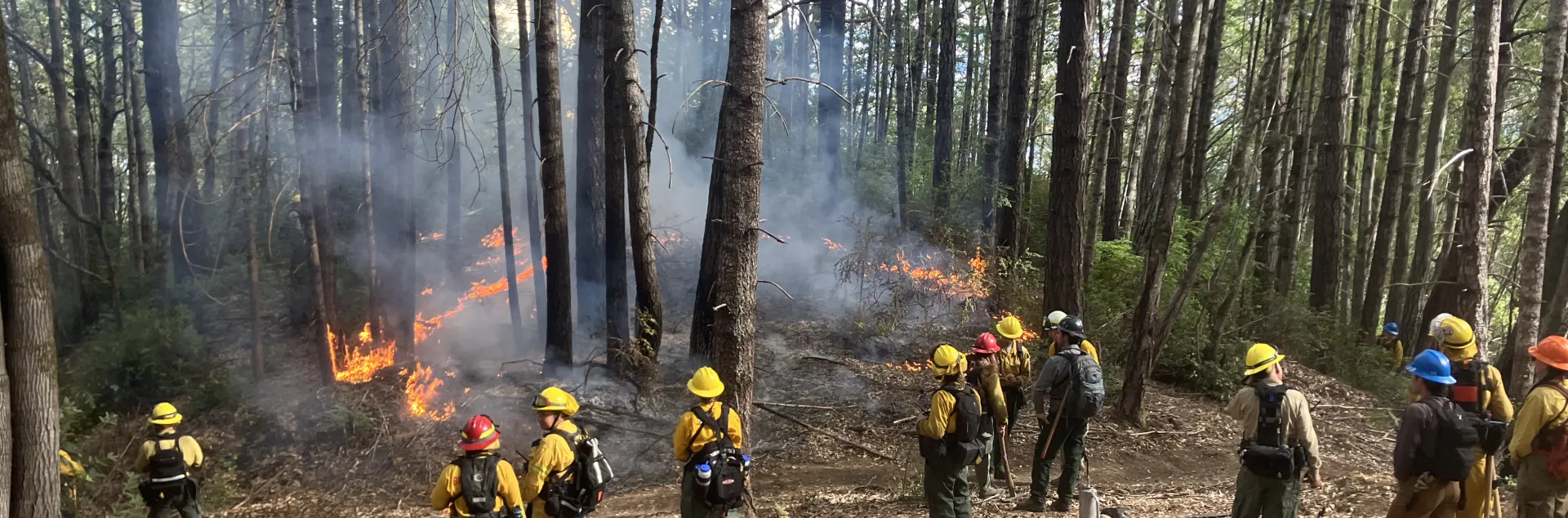 Wildfire events in Perth and Kinross