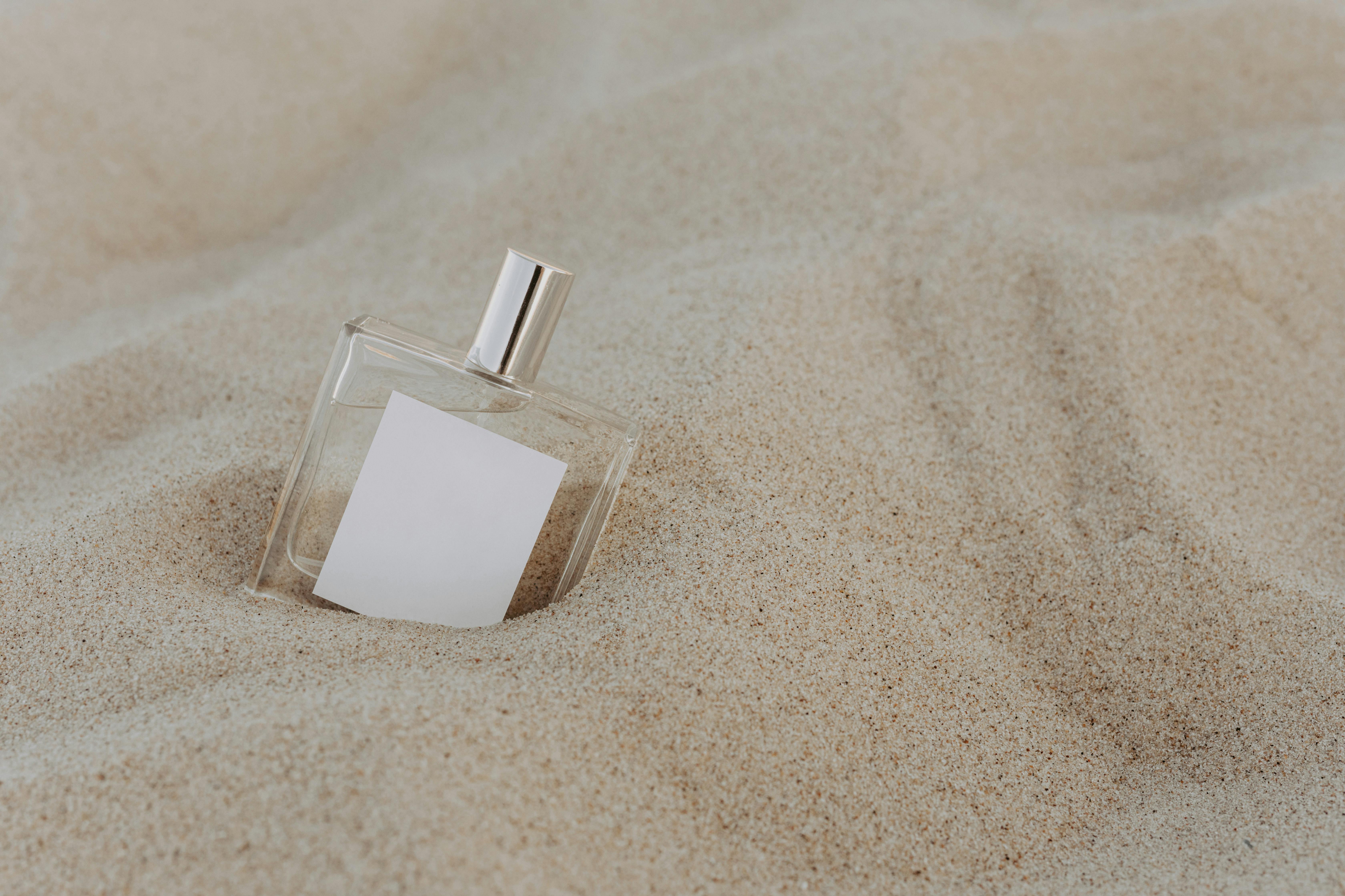 French Avenue topselectie: voor dames, heren en unisex